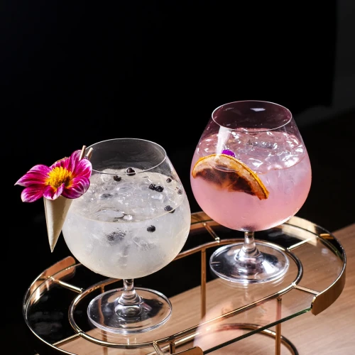 Gin Tônica e Harmonizações