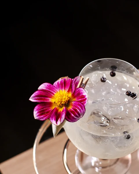 Gin Tônica e Harmonizações