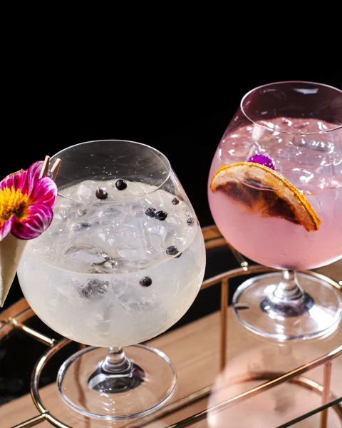 Gin Tônica e Harmonizações