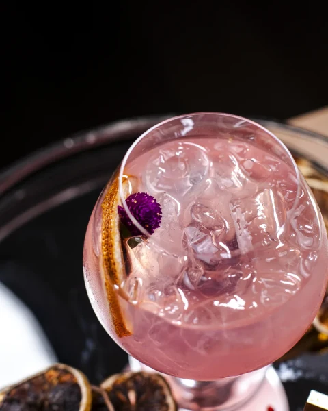 Gin Tônica e Harmonizações